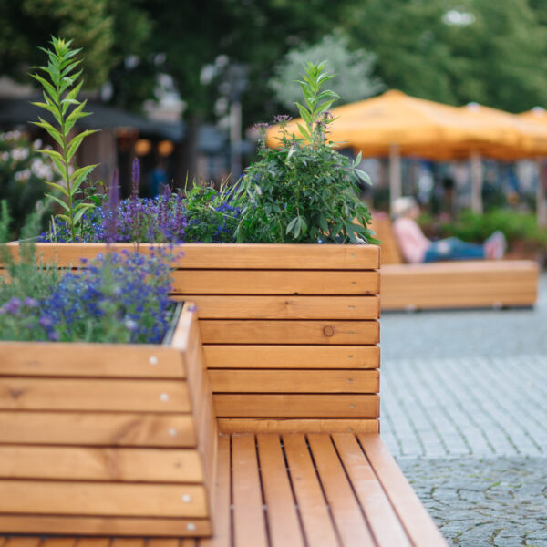 Gartenträume-Lounge auf dem Marktplatz Dessau