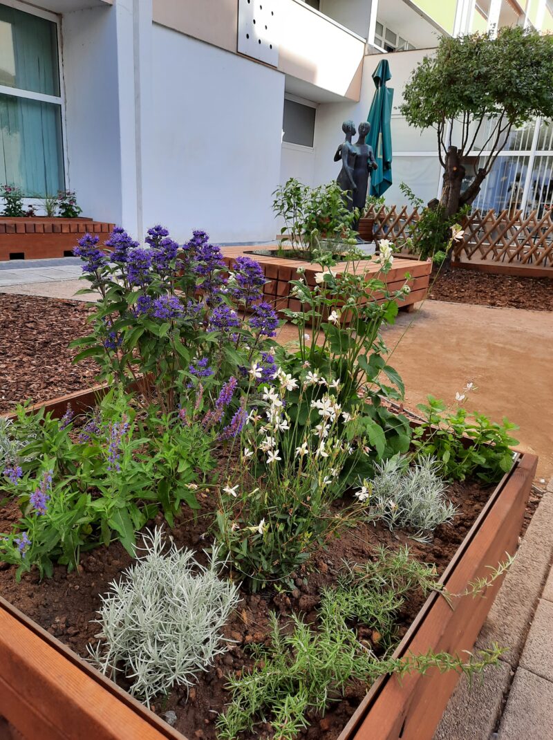 Sitzmöbel aus Holz mit blumen Bepflanzung Ratsgasse Dessau