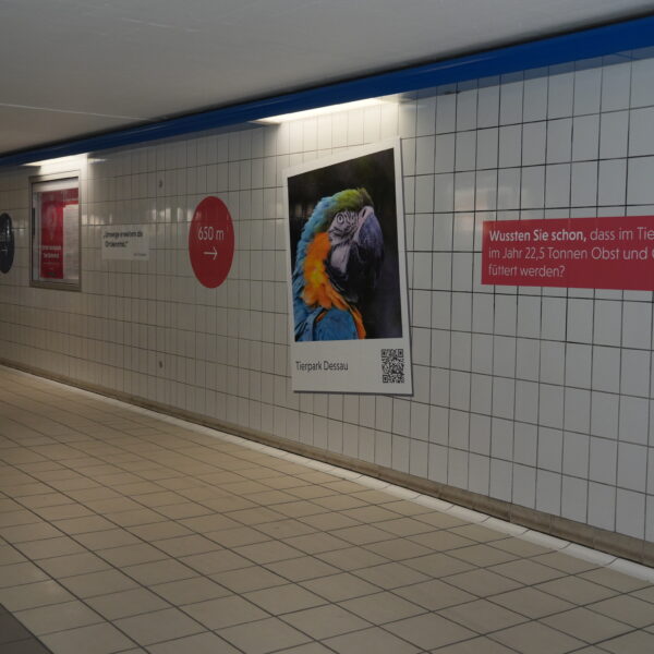 Bahnhofstunnel Dessau mit neuer Beklebung