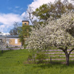 Weinbergschlösschen im Kühnauer Park Dessau